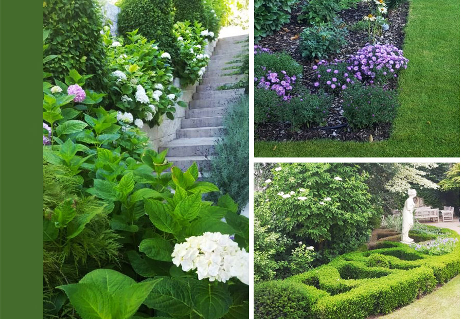 Die schönsten Ideen für Ihren Garten & Ihre Gartengestaltung vom Profigärtner. 