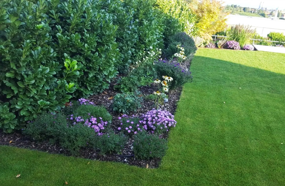 Ein Garten ist so viel mehr, als einfach nur die hübsche grüne Fläche rund um unser Haus. 